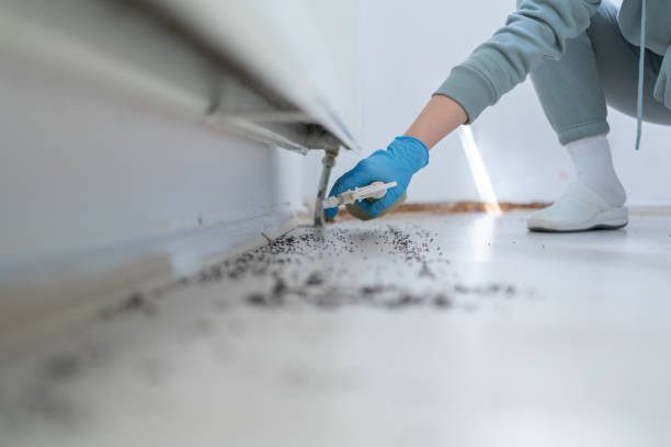 Best Pest Control Treatment  in USA